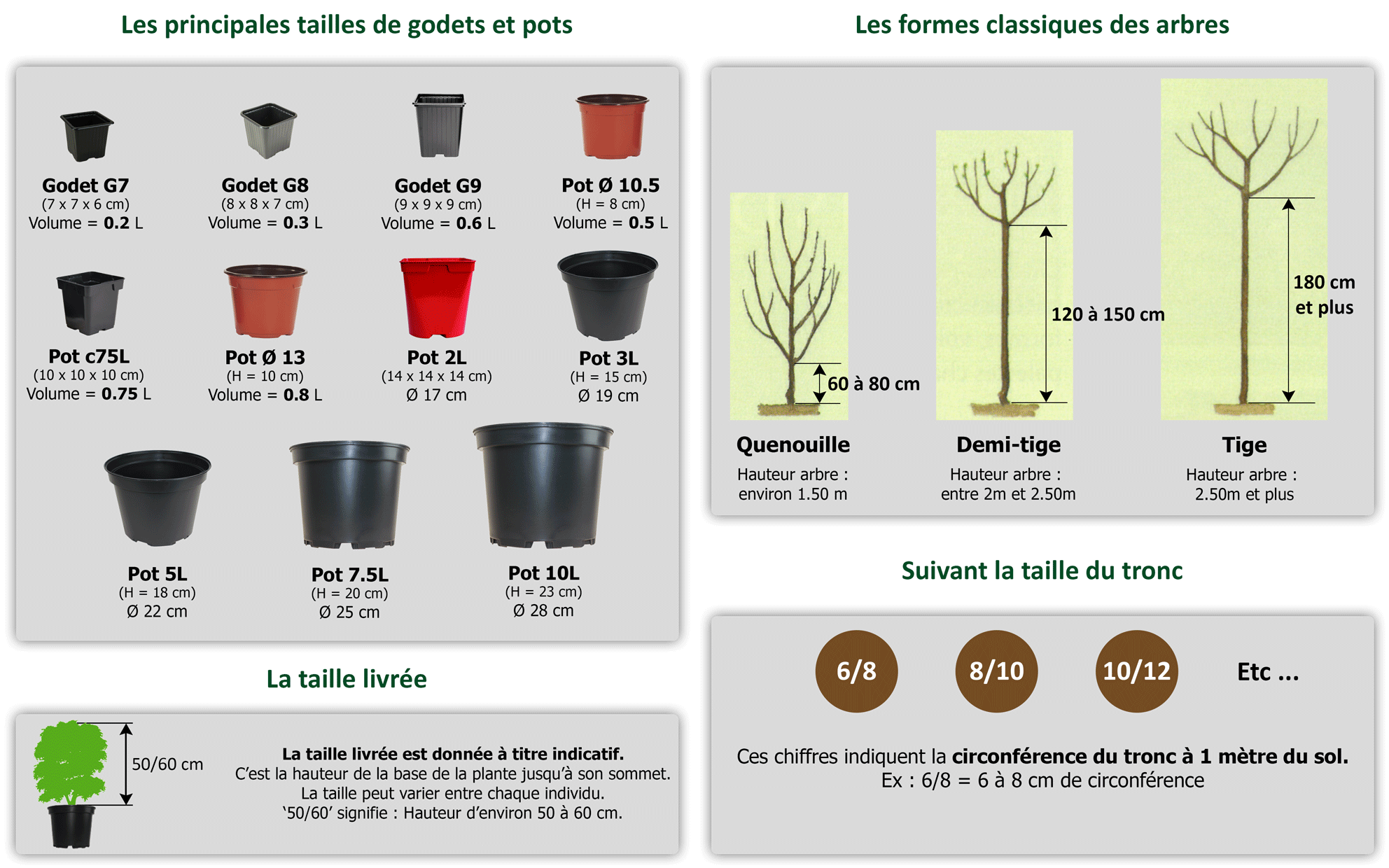 bien choisir son contenant et forme arbres taille du tronc